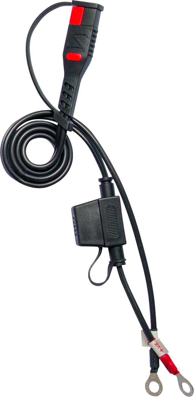 BS10 Smart Battery Charger & Maintainer