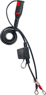 BS10 Smart Battery Charger & Maintainer