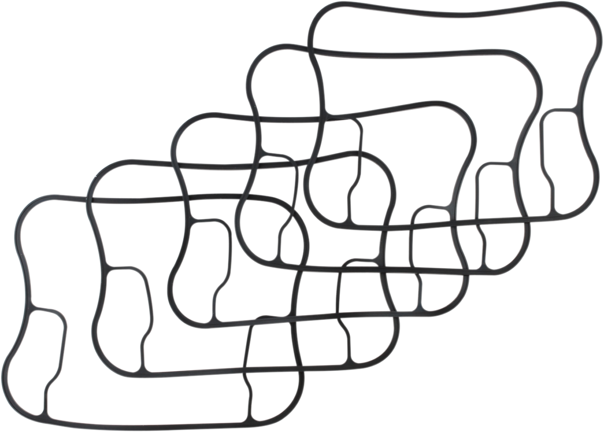 Rocker Gasket