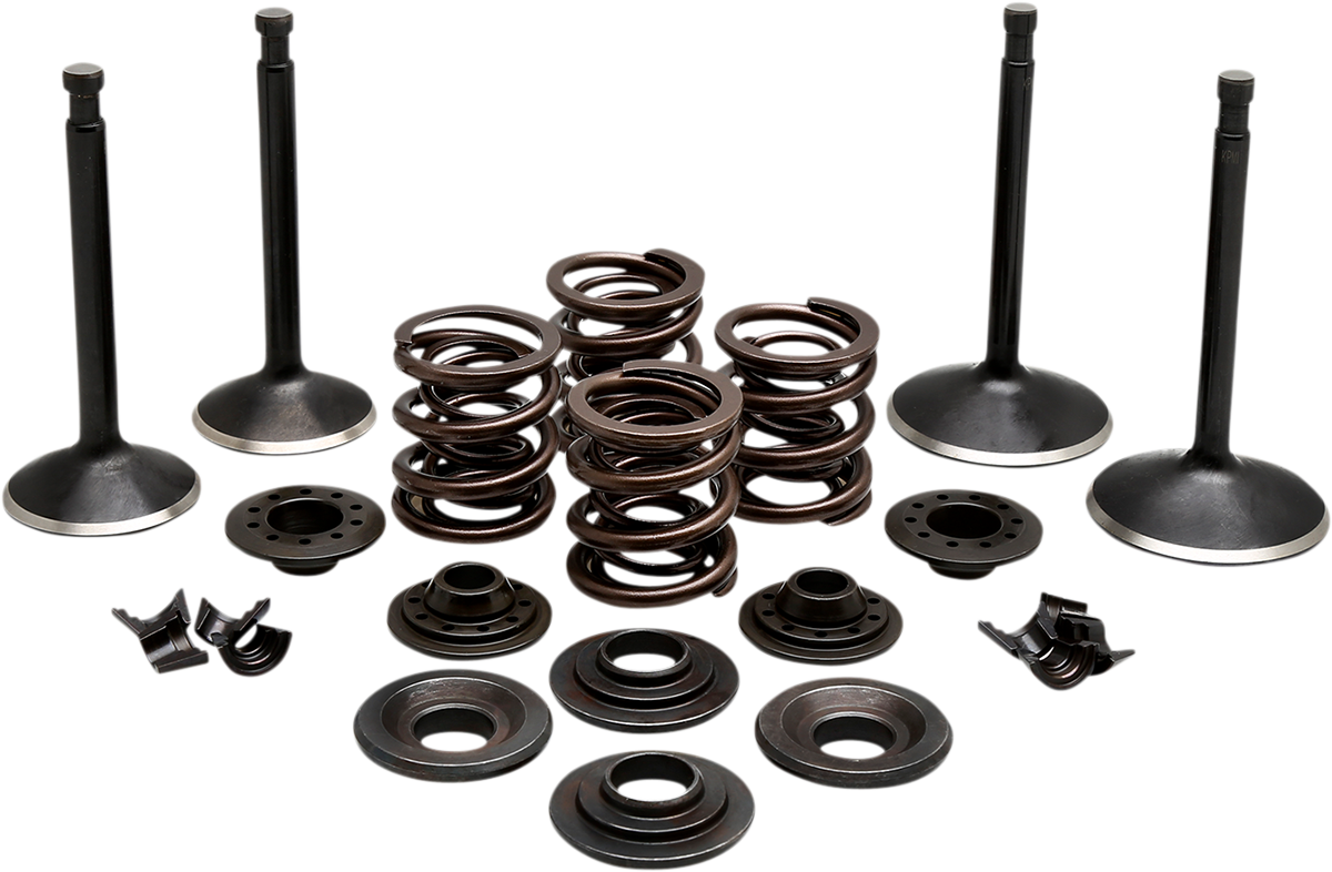 Engine Valve Kit