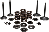 Engine Valve Kit