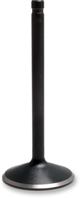 Nitrided Valve