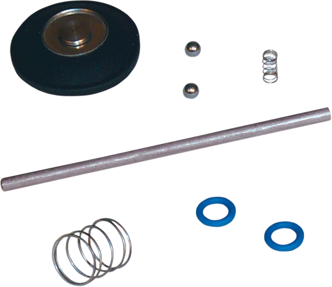 Accelerator Pump Rebuild Kit