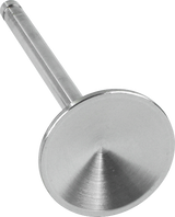 Replacement Stainless Steel Valves for S&S Heads