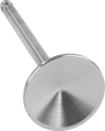Replacement Stainless Steel Valves for S&S Heads