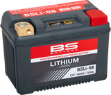 Lithium LiFePO4 Battery
