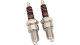 Spark Plugs - '99-'22 Twin Cam/XL