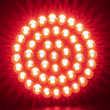 LED Rear Turn Signals for Harley Davidson | 1157 Base, Bullet Lens HOGWORKZ Halomaker